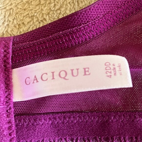Cacique Plunge Bra 42DDD Embroidered Lace Plum NWT - Picture 7 of 8